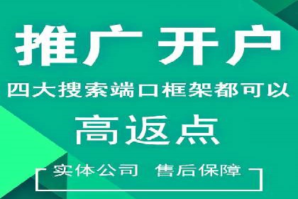 百度推广操作指南：案例解析